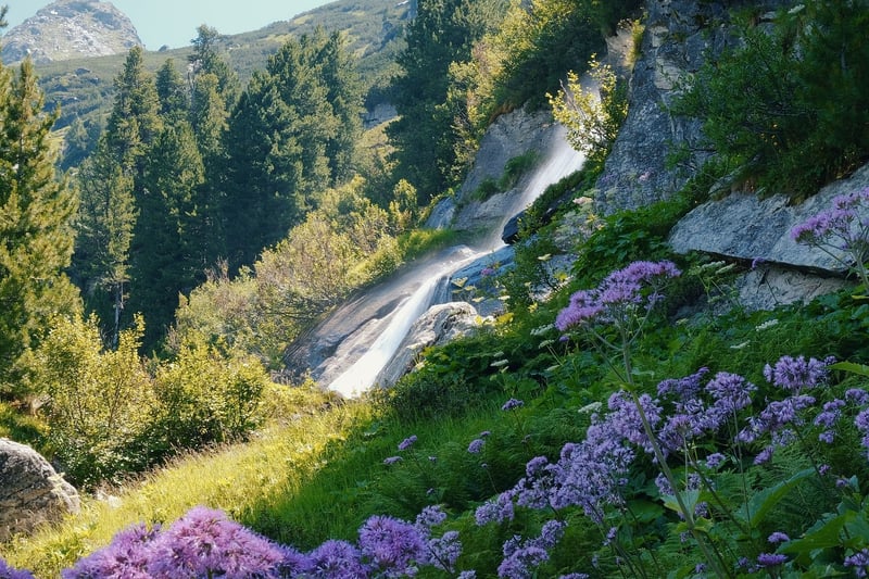 Enchanted waterfalls