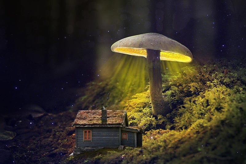 Tiny Fairy Dwelling