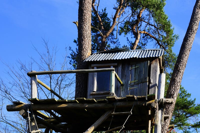 Majestic Treehouse