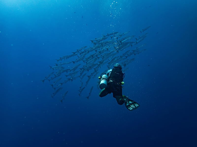 Underwater Realm