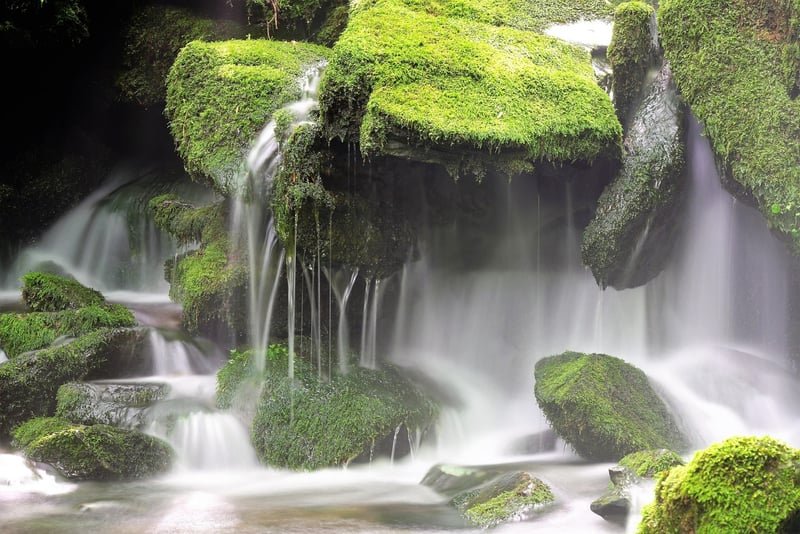 Serenity Falls